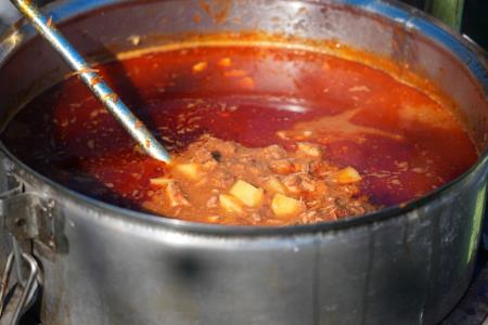 12 Dobrodelni Trimmigo, foto Pep (26)